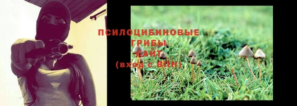 стаф Арсеньев