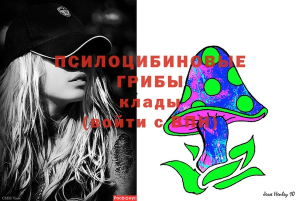 индика Аркадак