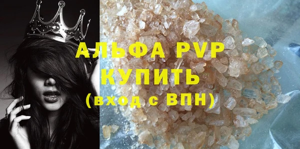 индика Корсаков
